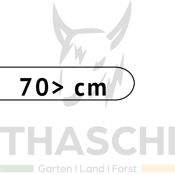 70 cm > Schwert